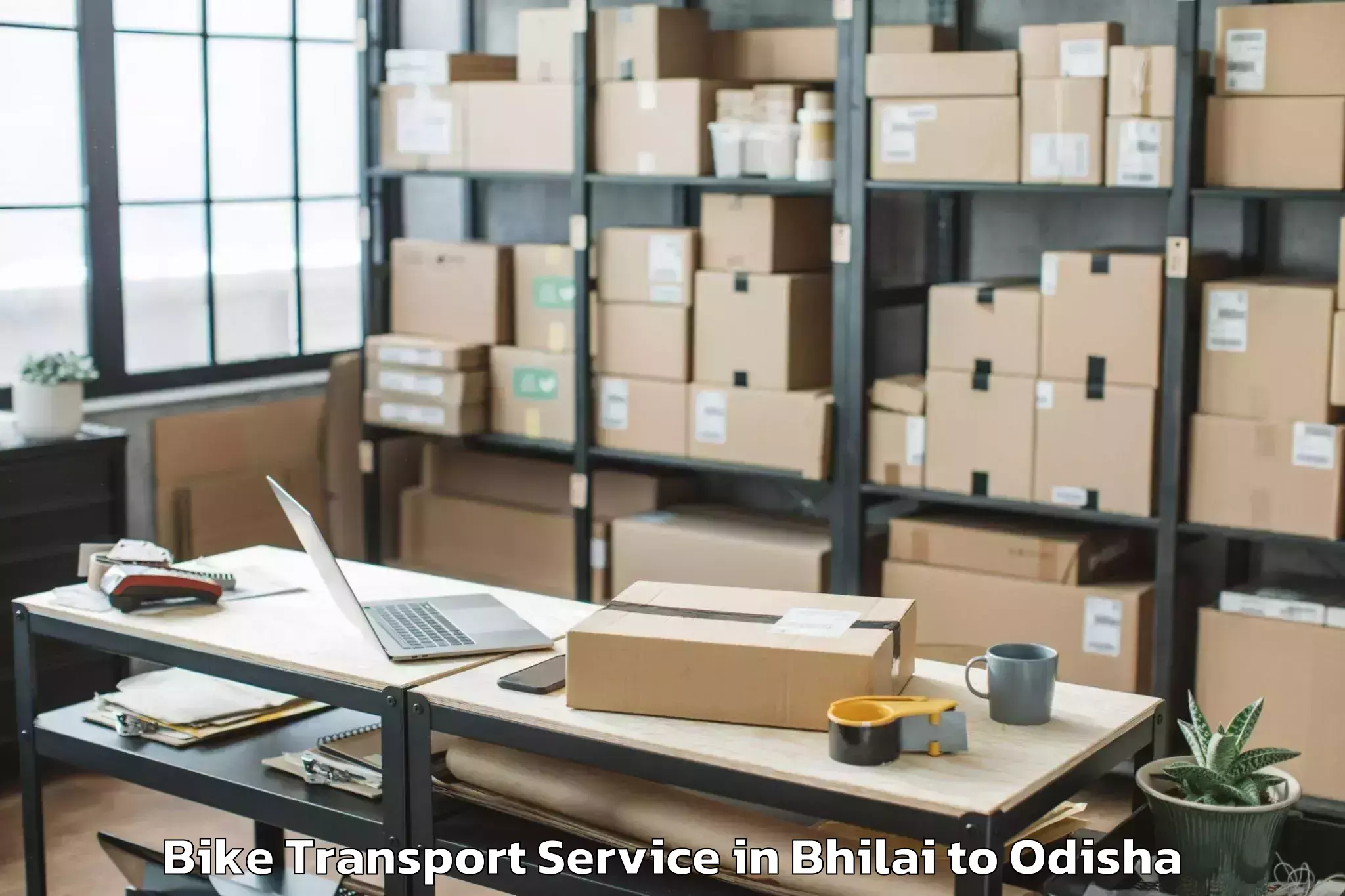 Top Bhilai to Bhanjanagar Bike Transport Available